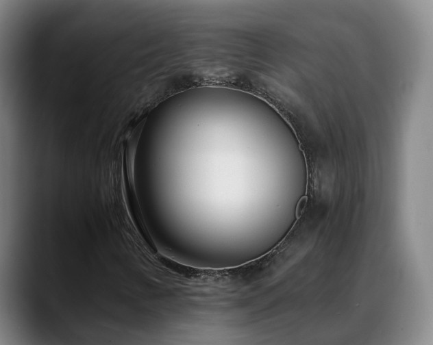 X0000088841346200706141531