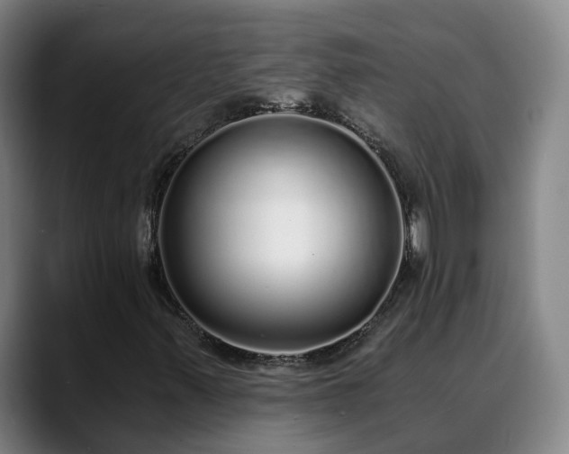 X0000088841347200706141531