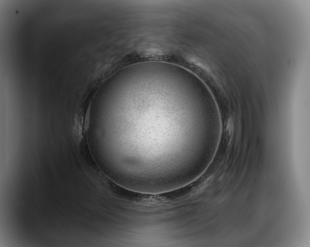 X0000088841348200706141531