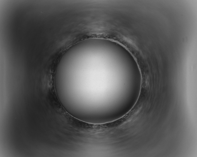 X0000088841350200706141531