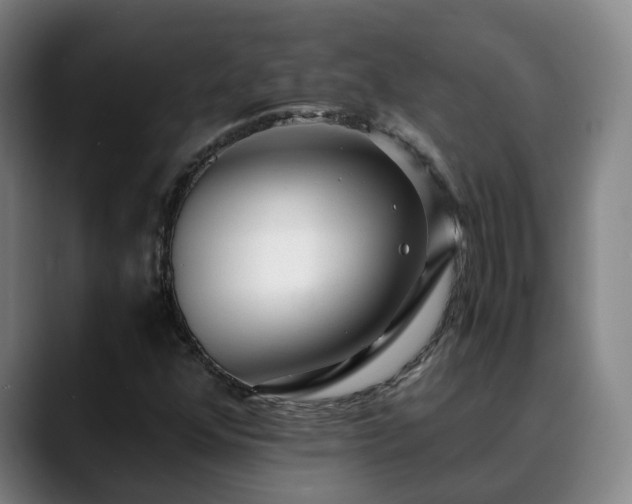 X0000088841352200706141531