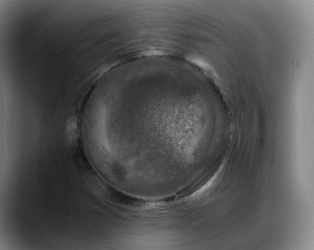 X0000088841353200706141531