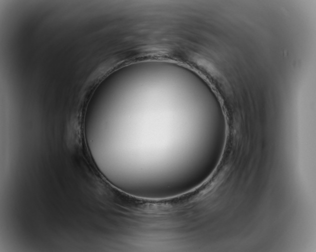 X0000088841354200706141531