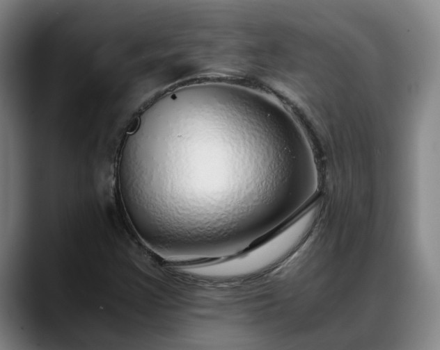 X0000088841355200706141531