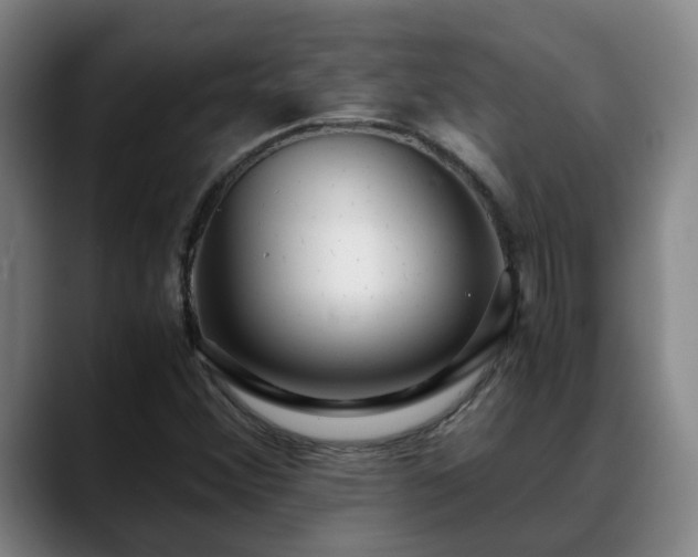 X0000088841356200706141531