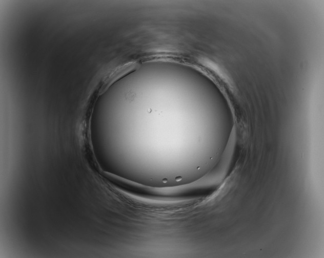 X0000088841357200706141531