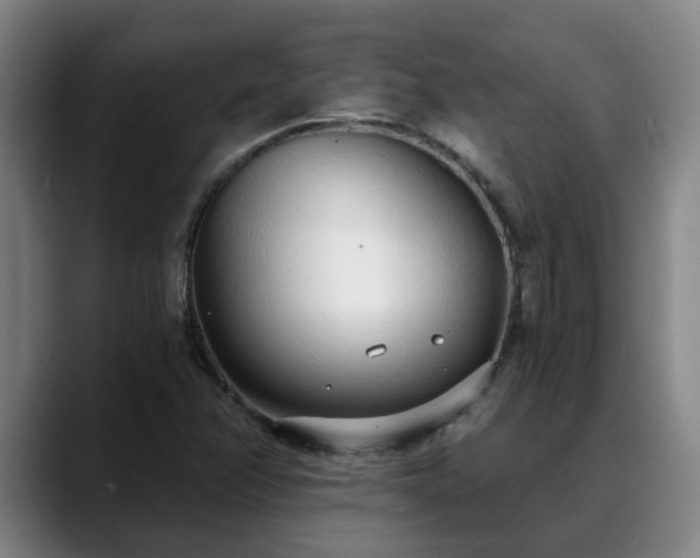 X0000088841358200706141531