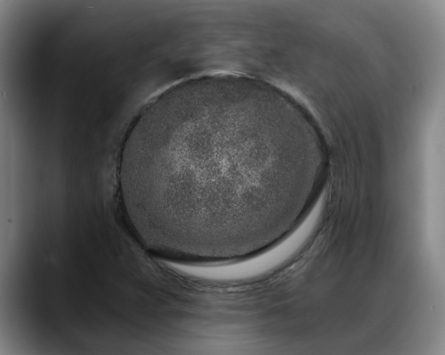 X0000088841359200706141531