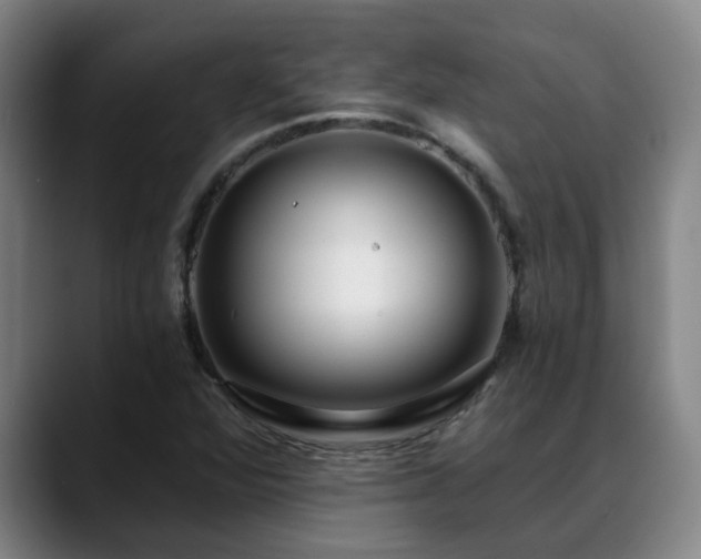 X0000088841360200706141531