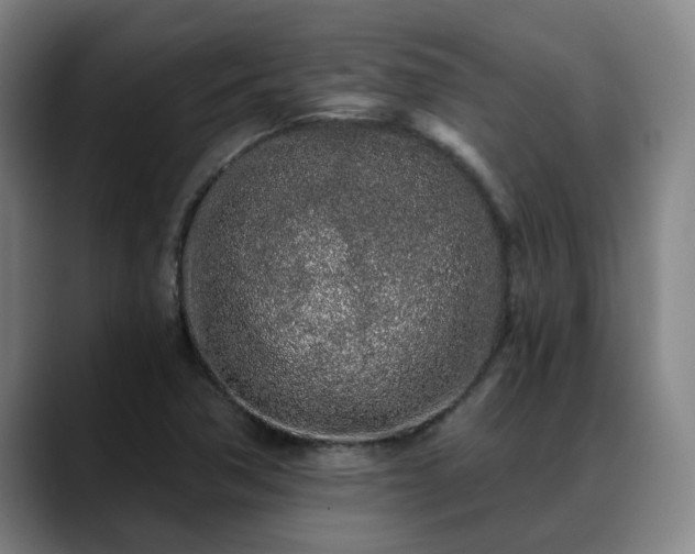 X0000088841362200706141531