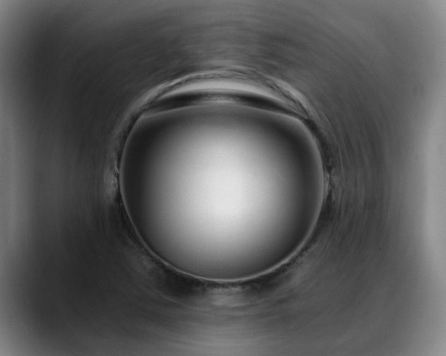 X0000088841363200706141531