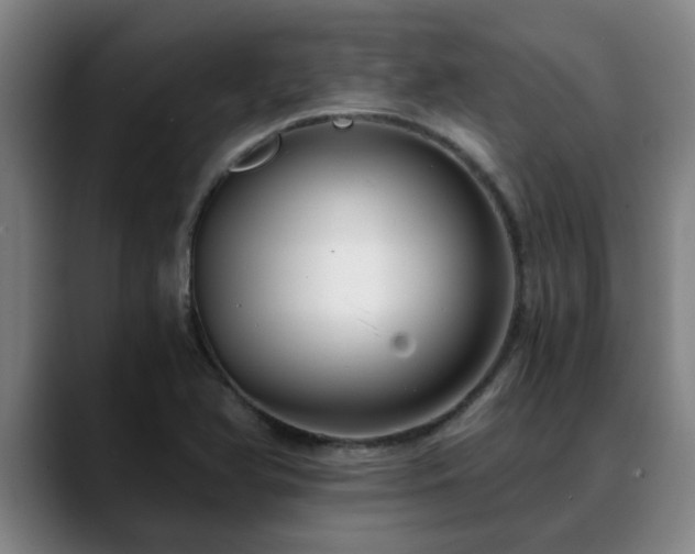 X0000088841366200706141531