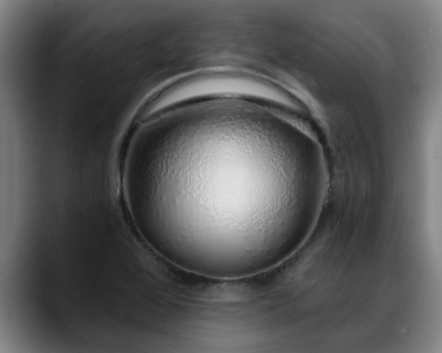 X0000088841368200706141531