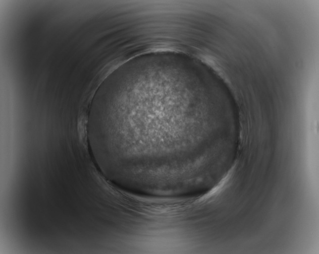 X0000088841369200706141531