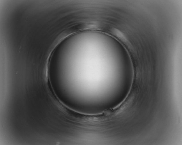 X0000088841370200706141531