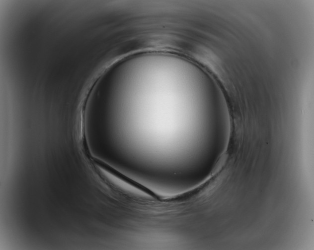 X0000088841371200706141531