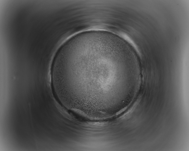 X0000088841372200706141531