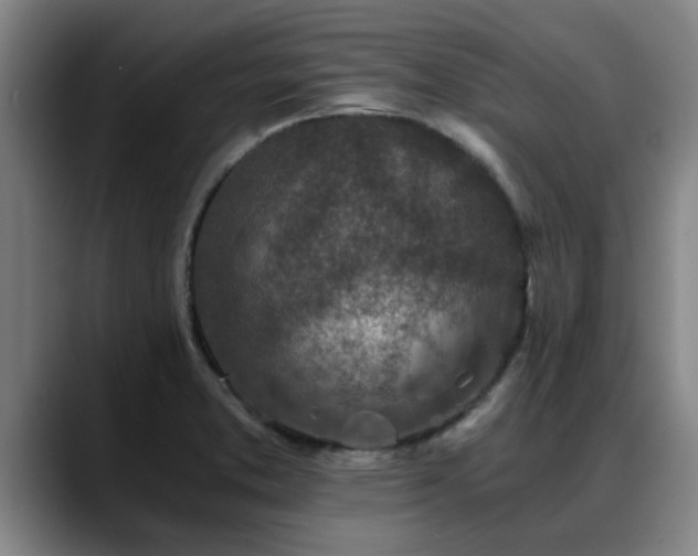 X0000088841373200706141531