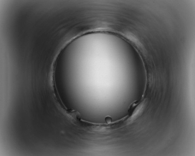 X0000088841374200706141531