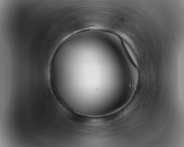 X0000088841375200706141531