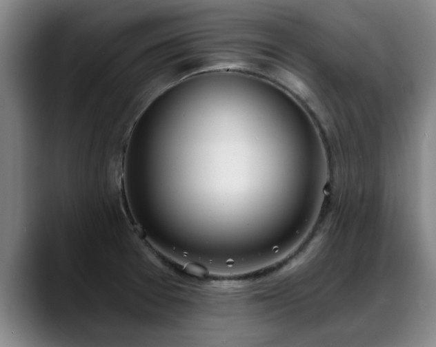 X0000088841377200706141531