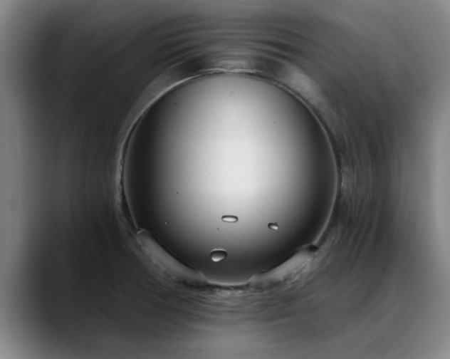 X0000088841378200706141531