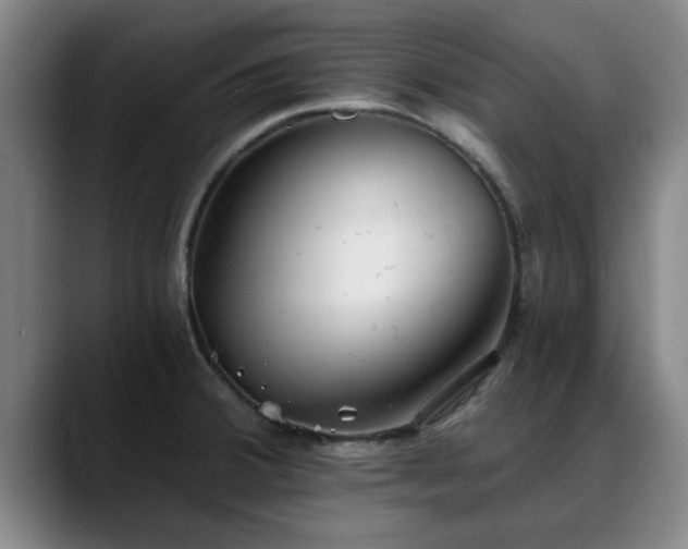 X0000088841380200706141531