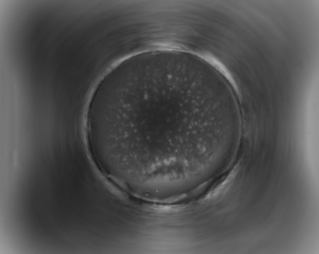 X0000088841381200706141531