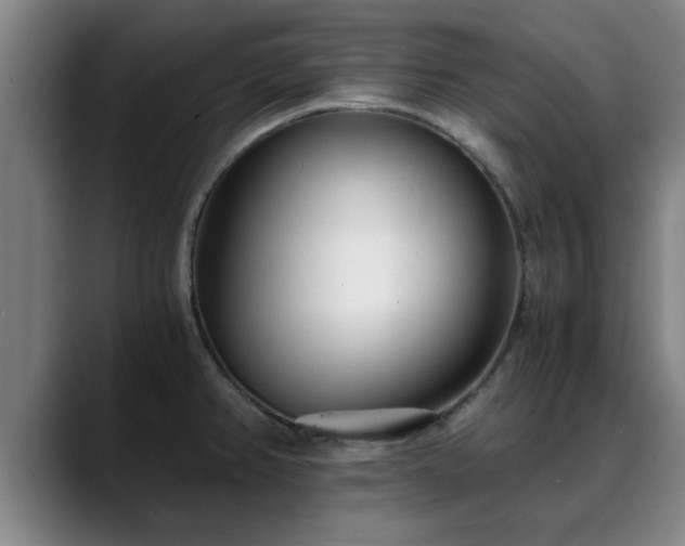 X0000088841382200706141531