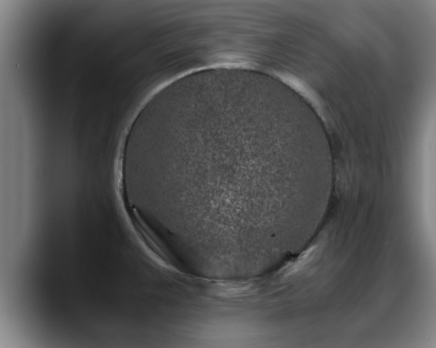 X0000088841383200706141531