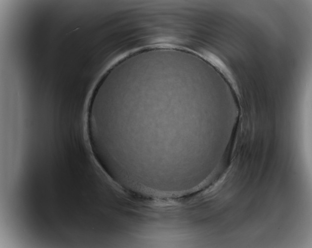 X0000088841384200706141531