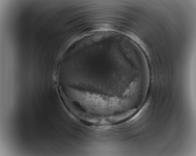 X0000088841385200706141531