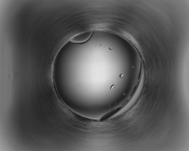 X0000088841386200706141531