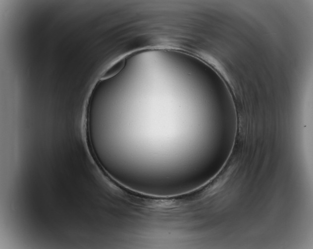 X0000088841387200706141531