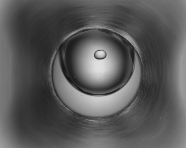 X0000088841388200706141531