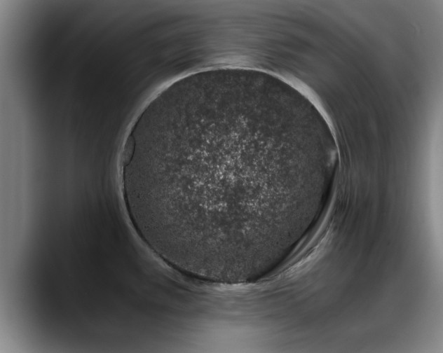 X0000088841389200706141531