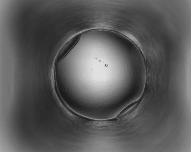 X0000088841391200706141531