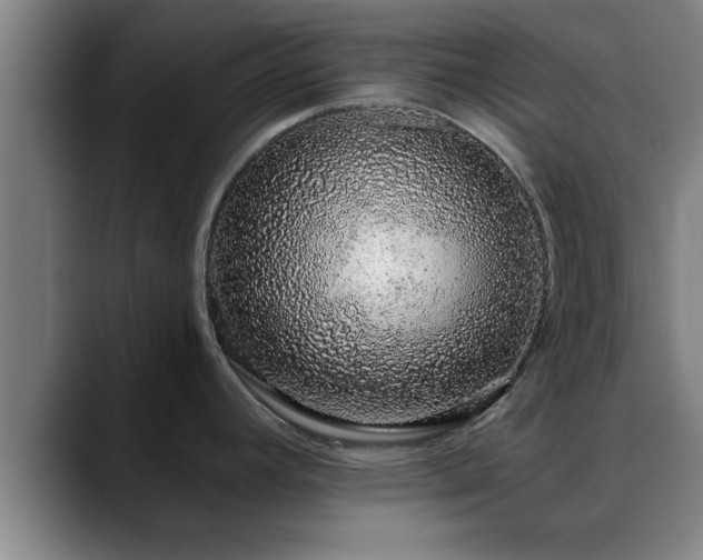 X0000088841392200706141531