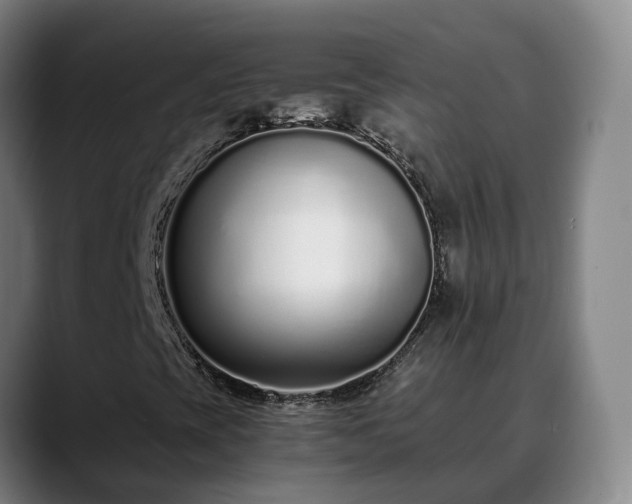 X0000088841393200706141530