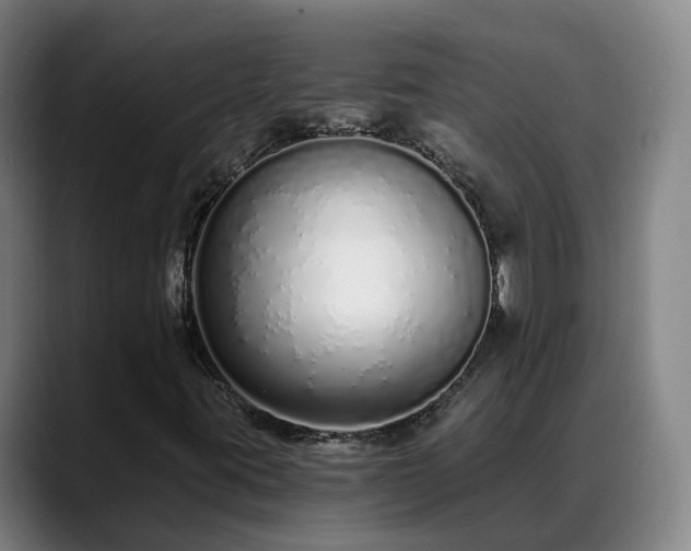 X0000088841395200706141530