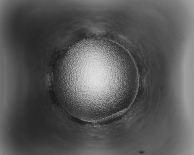 X0000088841397200706141530