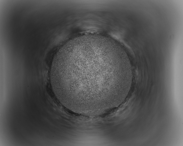 X0000088841399200706141530