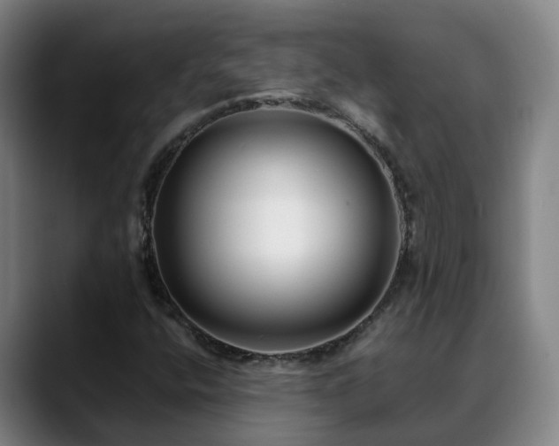 X0000088841400200706141530