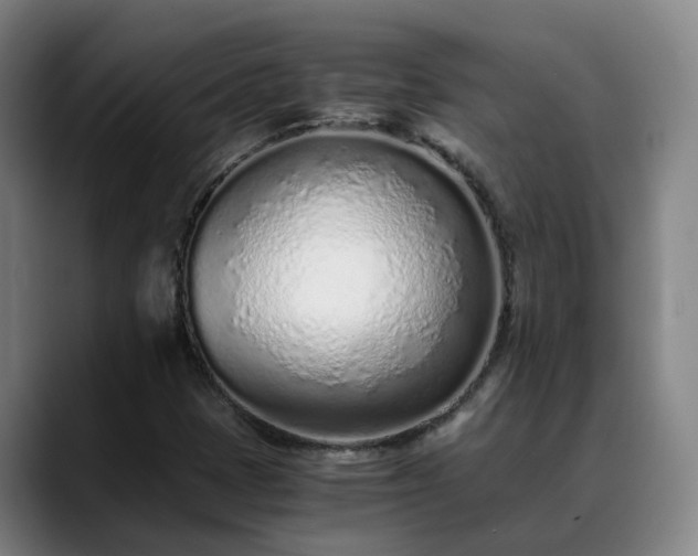 X0000088841401200706141530