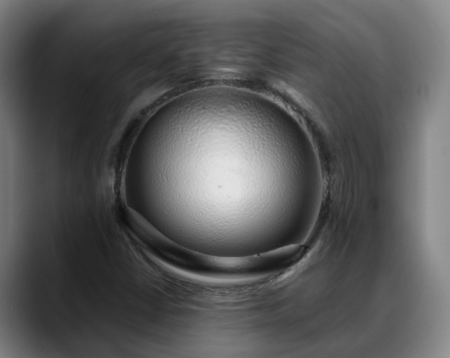 X0000088841402200706141530