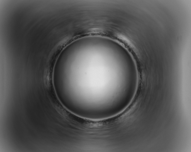 X0000088841403200706141530