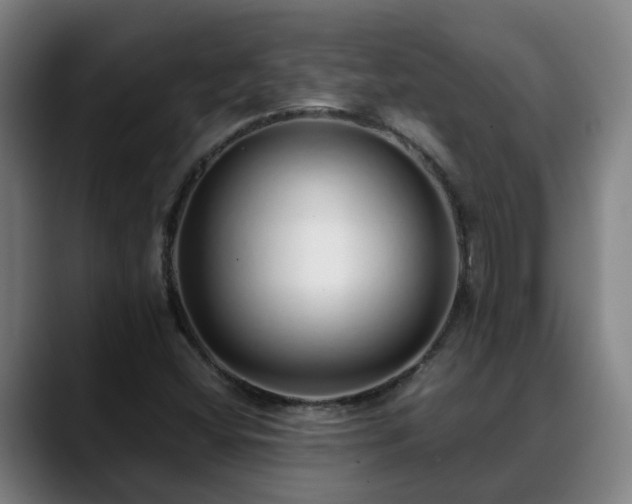 X0000088841404200706141530