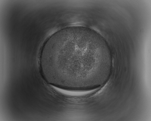 X0000088841405200706141530