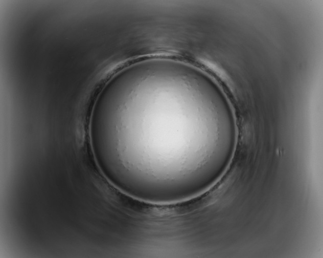 X0000088841407200706141530