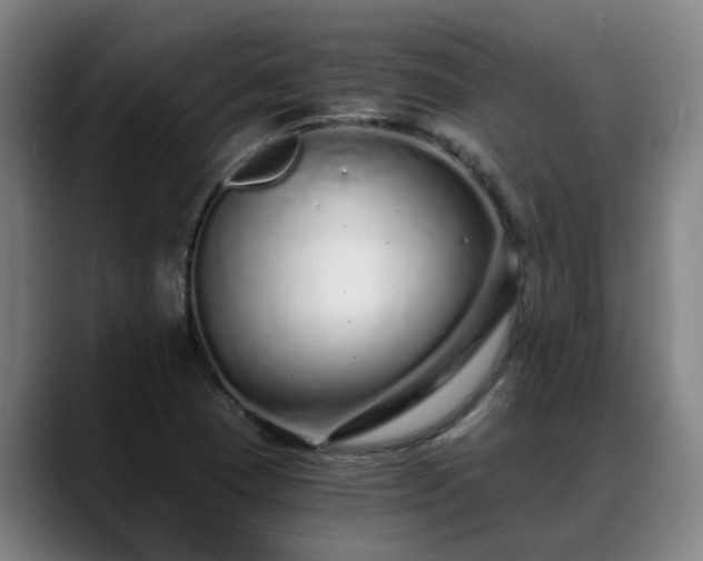 X0000088841409200706141530